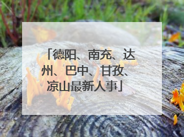 德阳、南充、达州、巴中、甘孜、凉山最新人事