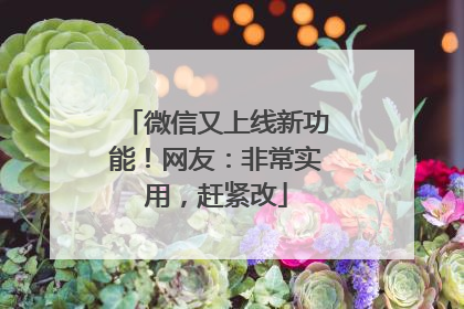 微信又上线新功能！网友：非常实用，赶紧改