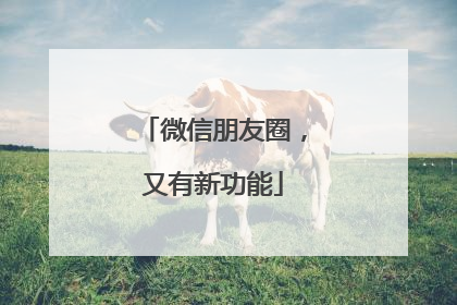 微信朋友圈，又有新功能