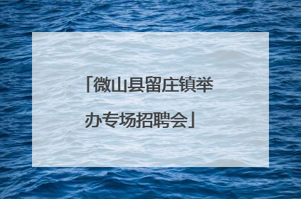 微山县留庄镇举办专场招聘会