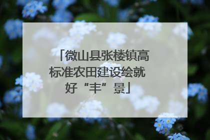 微山县张楼镇高标准农田建设绘就好“丰”景