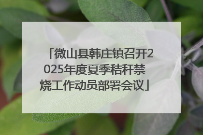 微山县韩庄镇召开2025年度夏季秸秆禁烧工作动员部署会议