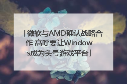 微软与AMD确认战略合作 高呼要让Windows成为头号游戏平台