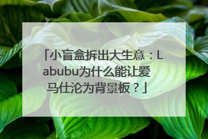小盲盒拆出大生意：Labubu为什么能让爱马仕沦为背景板？
