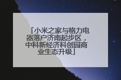 小米之家与格力电器落户济南起步区，中科新经济科创园商业生态升级