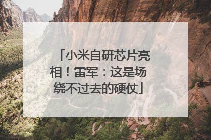 小米自研芯片亮相！雷军：这是场绕不过去的硬仗