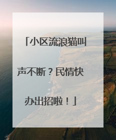 小区流浪猫叫声不断？民情快办出招啦！