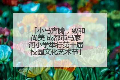 小马奔腾，致和尚美 成都市马家河小学举行第十届校园文化艺术节