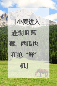 小麦进入灌浆期 蓝莓、西瓜也在抢“鲜”机