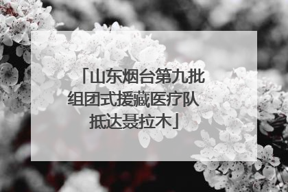 山东烟台第九批组团式援藏医疗队抵达聂拉木