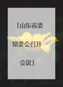 山东省委常委会召开会议