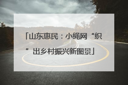 山东惠民：小绳网“织”出乡村振兴新图景