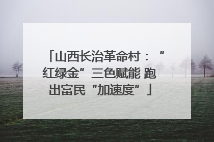 山西长治革命村：“红绿金”三色赋能 跑出富民“加速度”