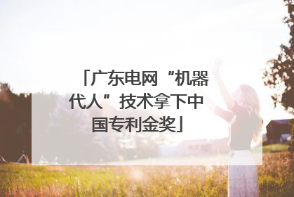 广东电网“机器代人”技术拿下中国专利金奖