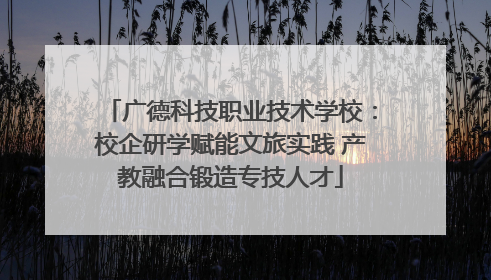 广德科技职业技术学校：校企研学赋能文旅实践 产教融合锻造专技人才