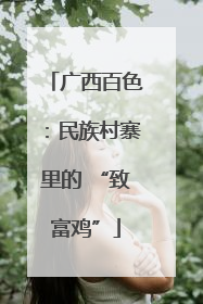 广西百色：民族村寨里的 “致富鸡”