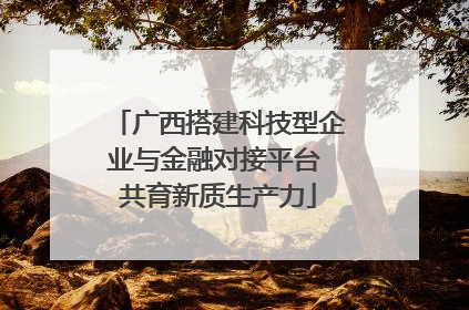 广西搭建科技型企业与金融对接平台 共育新质生产力