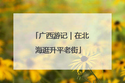 广西游记｜在北海逛升平老街