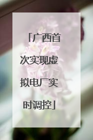 广西首次实现虚拟电厂实时调控