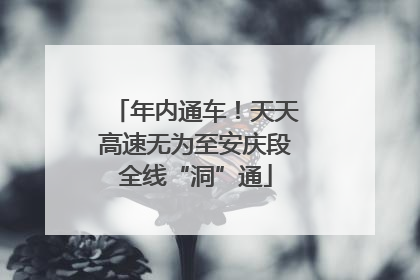 年内通车！天天高速无为至安庆段全线“洞”通