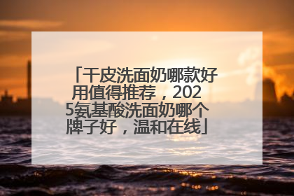 干皮洗面奶哪款好用值得推荐，2025氨基酸洗面奶哪个牌子好，温和在线