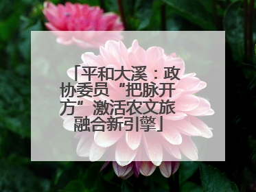 平和大溪：政协委员“把脉开方”激活农文旅融合新引擎