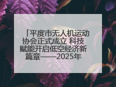 平度市无人机运动协会正式成立 科技赋能开启低空经济新篇章——2025年首届会员大会暨无人机应用发展论坛成功举办