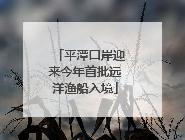 平潭口岸迎来今年首批远洋渔船入境