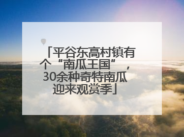 平谷东高村镇有个“南瓜王国”，30余种奇特南瓜迎来观赏季