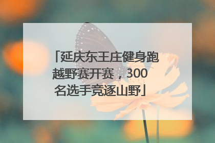延庆东王庄健身跑越野赛开赛，300名选手竞逐山野