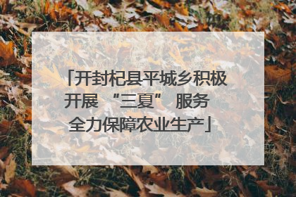 开封杞县平城乡积极开展 “三夏” 服务 全力保障农业生产