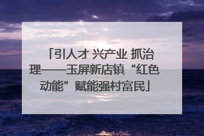 引人才 兴产业 抓治理——玉屏新店镇“红色动能”赋能强村富民