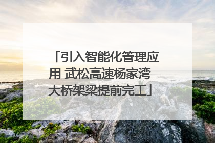 引入智能化管理应用 武松高速杨家湾大桥架梁提前完工
