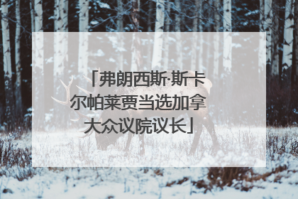 弗朗西斯·斯卡尔帕莱贾当选加拿大众议院议长