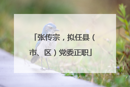 张传宗，拟任县（市、区）党委正职