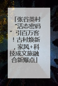 张谷英村“活态密码”引百万客！古村焕新，家风+科技成文旅融合新爆点