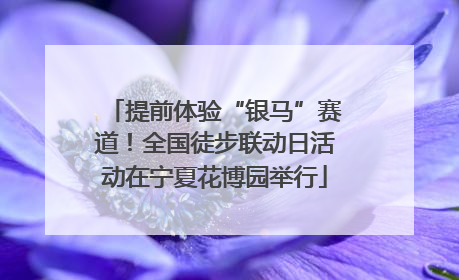 提前体验“银马”赛道！全国徒步联动日活动在宁夏花博园举行
