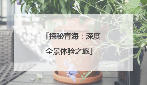 探秘青海：深度全景体验之旅