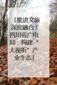 推进文旅深度融合！四川省广电局：构建“大视听”产业生态