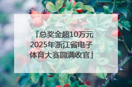 总奖金超10万元 2025年浙江省电子体育大赛圆满收官
