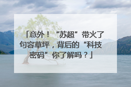 意外！“苏超”带火了句容草坪，背后的“科技密码”你了解吗？