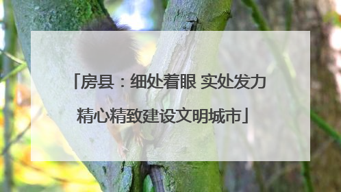 房县：细处着眼 实处发力 精心精致建设文明城市