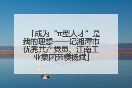 成为“π型人才”是我的理想——记湘潭市优秀共产党员、江南工业集团劳模杨斌