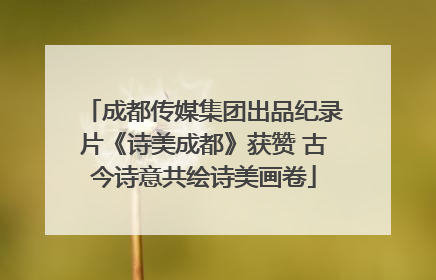成都传媒集团出品纪录片《诗美成都》获赞 古今诗意共绘诗美画卷