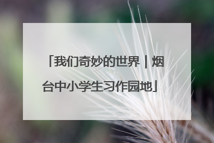 我们奇妙的世界｜烟台中小学生习作园地