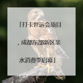 打卡世运会项目，成都东部新区亲水消费季启幕