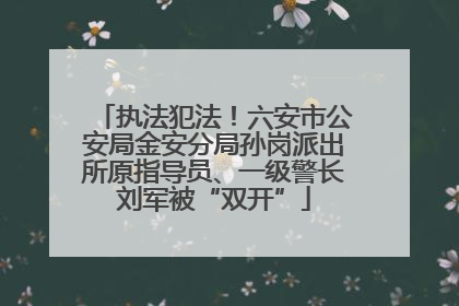 执法犯法！六安市公安局金安分局孙岗派出所原指导员、一级警长刘军被“双开”