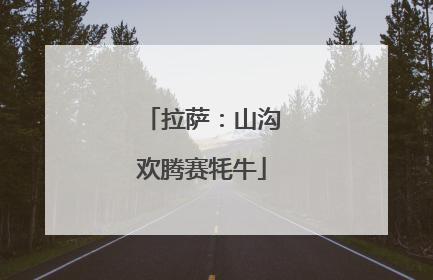 拉萨：山沟欢腾赛牦牛