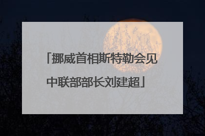 挪威首相斯特勒会见中联部部长刘建超
