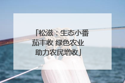 松滋：生态小番茄丰收 绿色农业助力农民增收